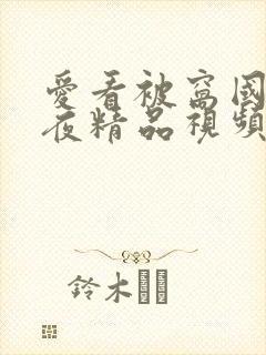 爱看被窝国产午夜精品视频