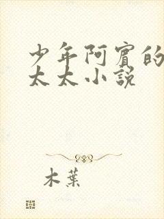 少年阿宾的房东太太小说