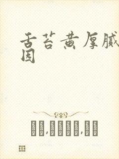 舌苔黄厚腻的原因