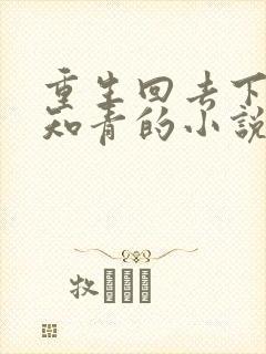 重生回去下乡做知青的小说封面