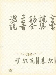 温柔的谎言免费观看全集电视剧封面