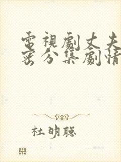 电视剧丈夫的秘密分集剧情介绍