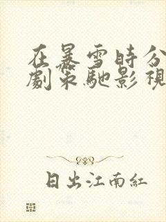 在暴雪时分电视剧策驰影视封面