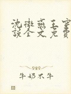 沈微燕王穿越小说全文免费阅读封面