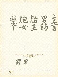 双胞胎男主和一个女主的言情小说