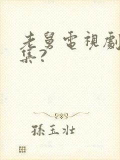 老舅电视剧多少集?