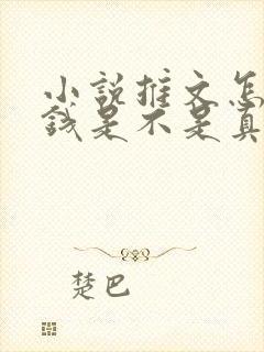 小说推文怎么赚钱是不是真的