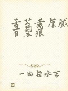 舌苔黄厚腻中间有裂痕