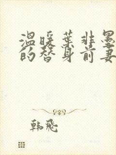 温暖叶非墨总裁的替身前妻