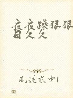 夜夜躁狠狠躁日日久久