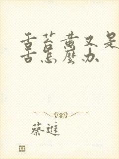 舌苔黄又是齿痕舌怎么办