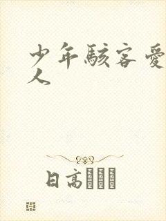 少年骇客爱表同人