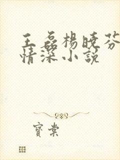 王磊杨晓芬后妈情深小说