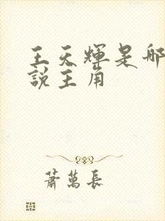 王天辉是哪部小说主角