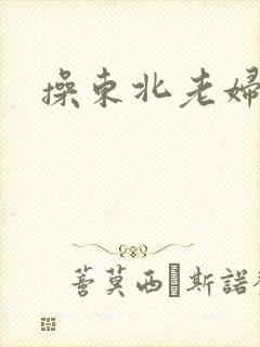 操东北老妇人