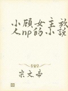 小顾女主放荡勾人np的小说