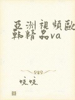 亚洲视频欧美日韩精品va