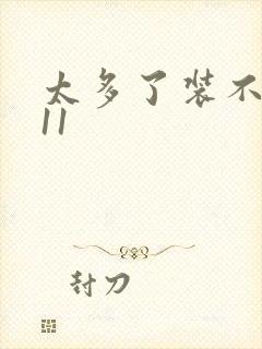 太多了装不下H11