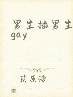 男生插男生视频gay封面