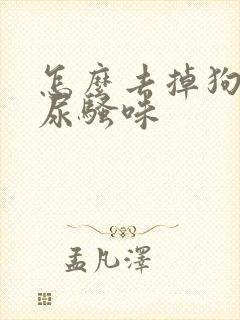 怎么去掉狗狗的尿骚味