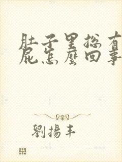 肚子里总有气放屁怎么回事