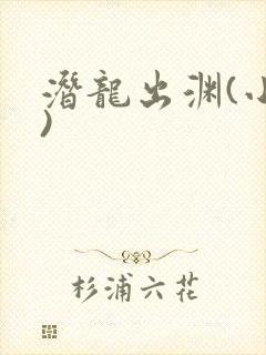 潜龙出渊(小说)