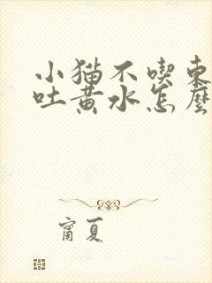 小猫不吃东西还吐黄水怎么办