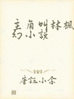 主角叫林枫的玄幻小说封面