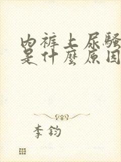 内裤上尿骚味重是什么原因女