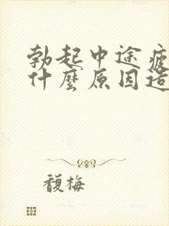 勃起中途疲软是什么原因造成得封面