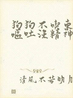 狗狗不吃东西还呕吐没精神流鼻涕怎么办