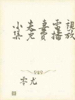 小夫妻电视剧全集免费播放高清