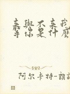 来与不来我都在等你是什么歌