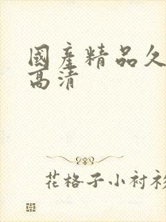 国产精品久久久高清