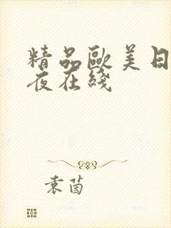 精品欧美日韩午夜在线封面