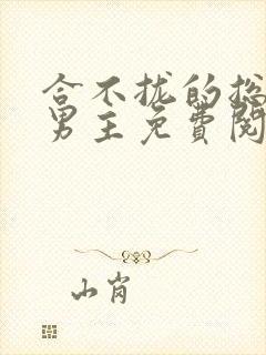 合不拢的总裁双男主免费阅读