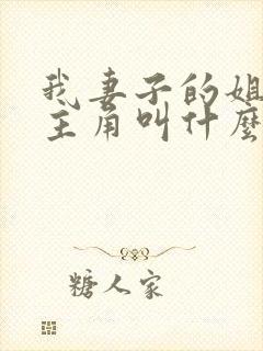 我妻子的姐姐女主角叫什么封面