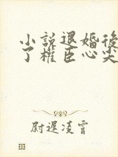 小说退婚后我成了权臣心尖宠