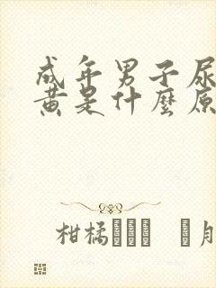 成年男子尿液发黄是什么原因