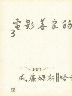 电影善良的嫂子3封面