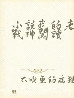 小说我的老婆是战神阅读