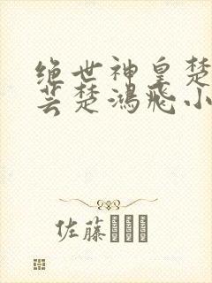 绝世神皇楚风楚芸楚鸿飞小说