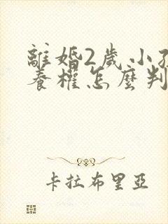 离婚2岁小孩抚养权怎么判定标准