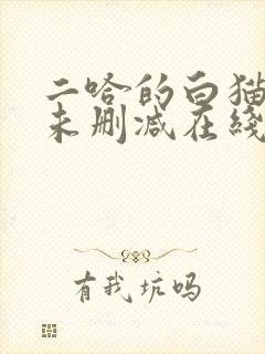 二哈的白猫师尊未删减在线阅读免费