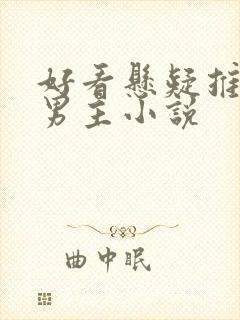 好看悬疑推理双男主小说封面