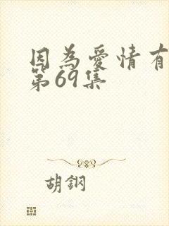 因为爱情有多美第69集