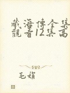 藏海传全集免费观看12集高清封面