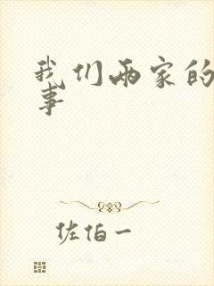 我们两家的荒唐事封面