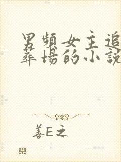 男频女主追夫火葬场的小说