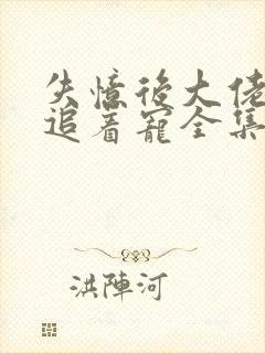 失忆后大佬前夫追着宠全集观看封面